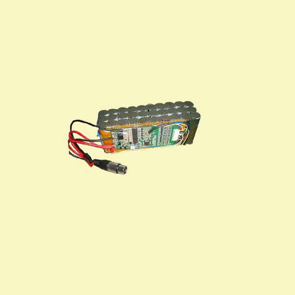 LiFePO4 Battery Pack 9.6V 20Ah with BMS